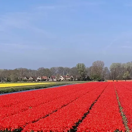 Tapuit 6-1 By Interhome Noordwijk