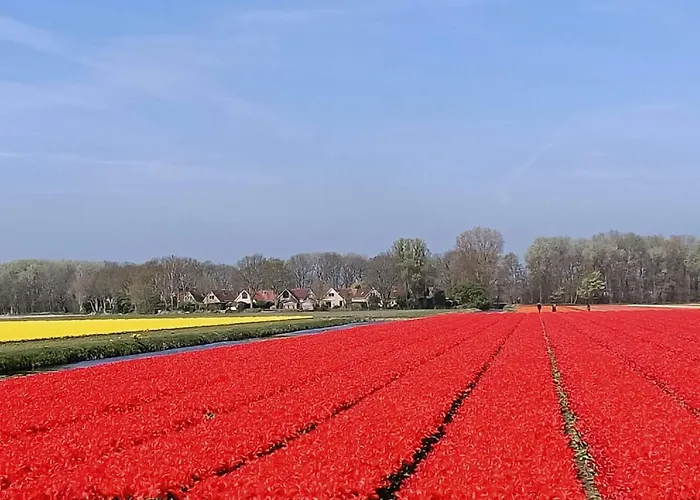 Tapuit 6-1 By Interhome Noordwijk